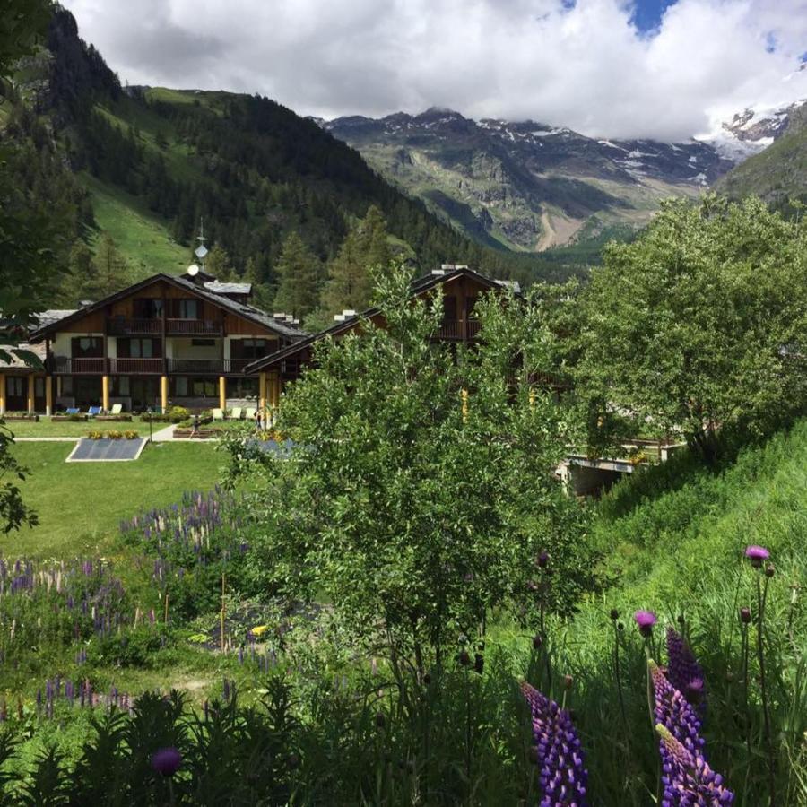 Residence Dei Walser Gressoney-la-Trinité Extérieur photo
